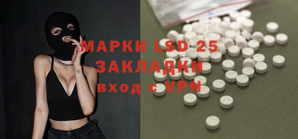 apvp Алексин