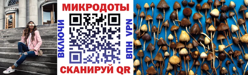Псилоцибиновые грибы ЛСД  сколько стоит  Калининск 